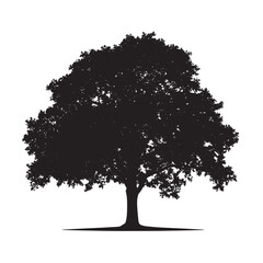 Fototapeta premium Majestic Oak Tree Black Silhouette
