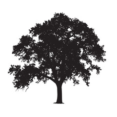 Fototapeta premium Oak Tree in Black Ink Style