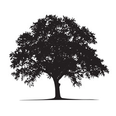 Oak Tree Outline Vector Silhouette