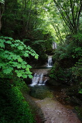 古釜の滝　栃木県