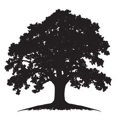 Rural Landscape Oak Tree Silhouette
