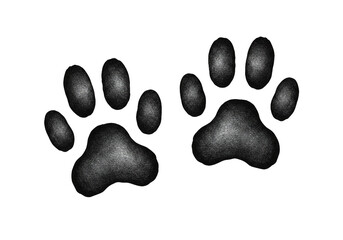 Two paw prints animal tracks isolated on a black background.