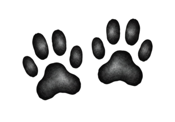 Two paw prints animal tracks isolated on a black background.