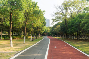 New pathway and beautiful trees track for running or walking and cycling relax in the park