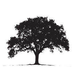 Fototapeta premium Sturdy Oak Tree Shape Silhouette