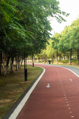 New pathway and beautiful trees track for running or walking and cycling relax in the park