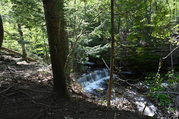 Mosquito Falls 