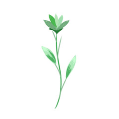 green plant isolated textured pencil