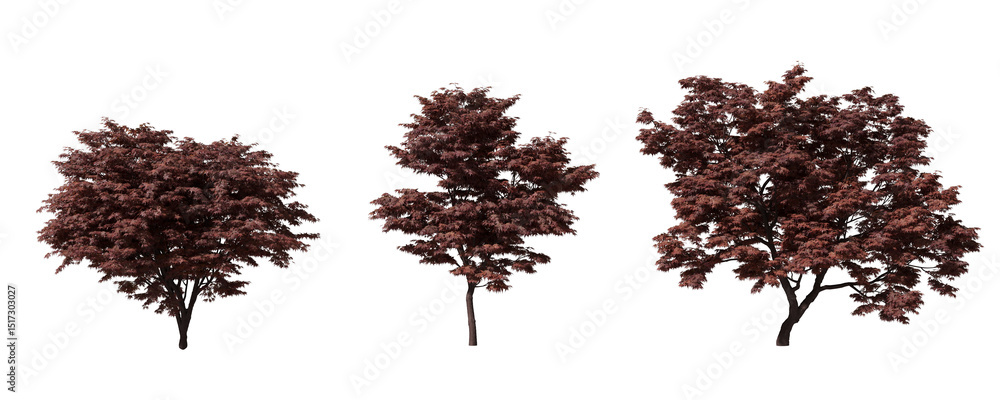 Aufkleber cut out realistic trees collection on transparent backgrounds. high quality 3d rendering. png format