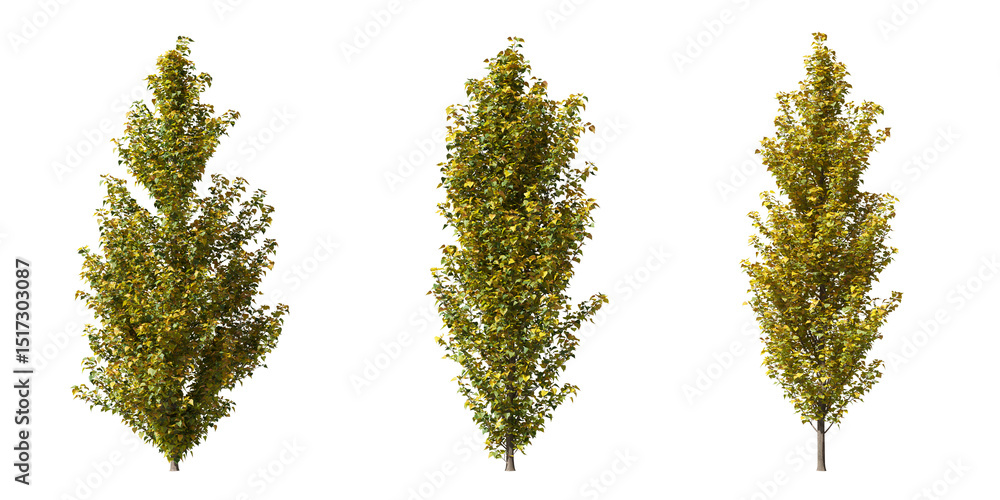 Poster cut out autumn trees collection on transparent backgrounds. high quality 3d rendering. png format