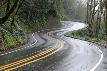 Fototapeta premium Curvy wet road winding through lush greenery during a foggy morning in a serene forested area