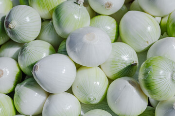 A close-up of clean white onions with smooth skin, displayed under natural light. Their neutral...