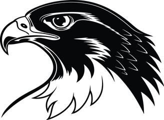 Eagle head vector illustration black and white bird, Falcon head silhouette vector illustration