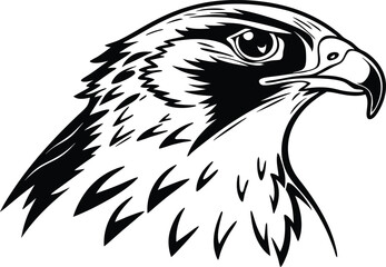 Eagle head vector illustration black and white bird, Falcon head silhouette vector illustration