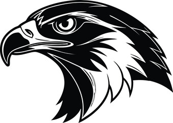 Eagle head vector illustration black and white bird, Falcon head silhouette vector illustration