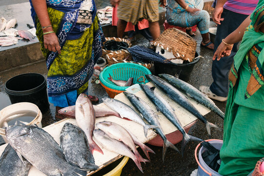 Kasimedu Fishing Harbour