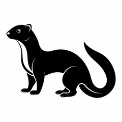 Ferret on white background 