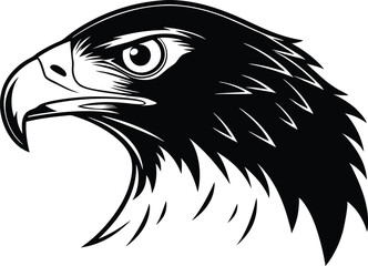 Eagle head vector illustration black and white bird, Falcon head silhouette vector illustration