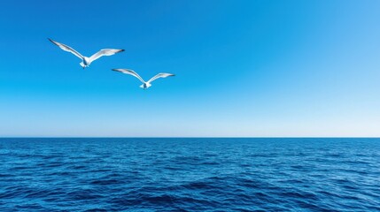 Obraz premium Two Seagulls Flying Over Calm Ocean
