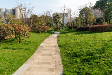 city park with modern building background in shanghai