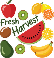 Set of fruits illustration vector