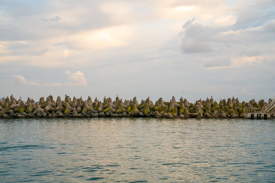 Concrete breakwater with seabirds at sunset