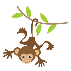 Cute little monkey vector cartoon illustration