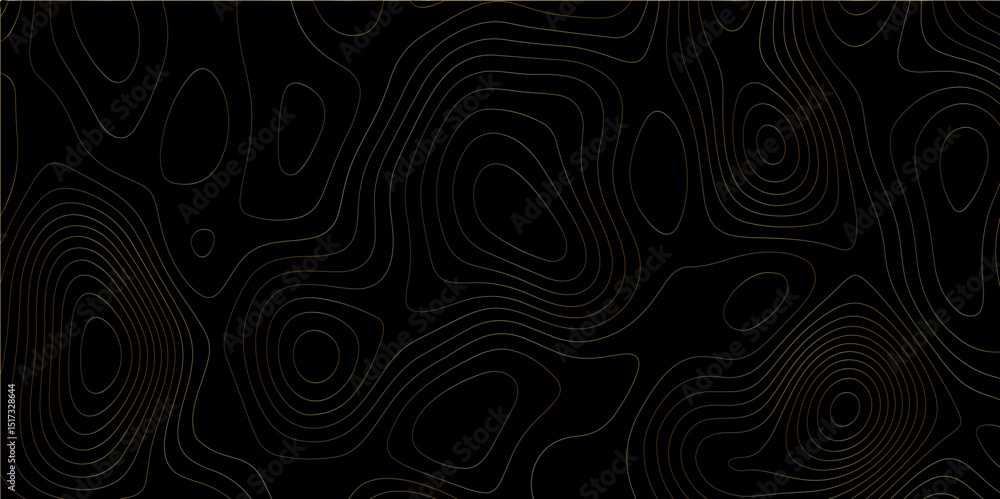 Poster Abstract black colorful gradient Topographic line map pattern background. Contour elevation topographic and textured Background Modern design with black background with topographic wavy Patte and ... 