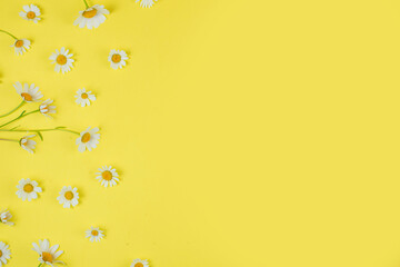 daisies on a yellow background with space for your text