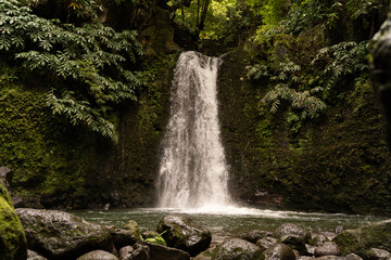 Waterfall in Tropical Forest