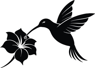 Flying hummingbird vector silhouette with flower, Flying hummingbird bird vector illustration