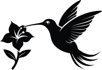 Flying hummingbird vector silhouette with flower, Flying hummingbird bird vector illustration