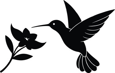 Flying hummingbird vector silhouette with flower, Flying hummingbird bird vector illustration