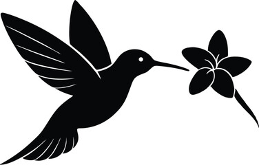 Flying hummingbird vector silhouette with flower, Flying hummingbird bird vector illustration
