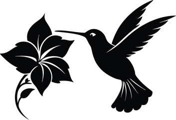Flying hummingbird vector silhouette with flower, Flying hummingbird bird vector illustration