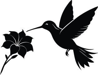 Flying hummingbird vector silhouette with flower, Flying hummingbird bird vector illustration