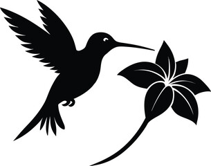 Flying hummingbird vector silhouette with flower, Flying hummingbird bird vector illustration