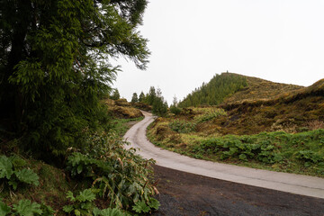 Title: Winding Road Green Hills
