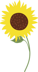 Handdrawn Sunflower Decoration