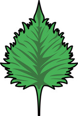 色付きの丸ごと紫蘇のイラスト