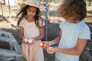 Siblings Collecting Fresh Eggs on Farm
