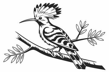 hoopoe sihouette black vector