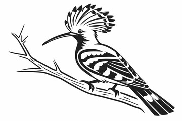 hoopoe sihouette black vector