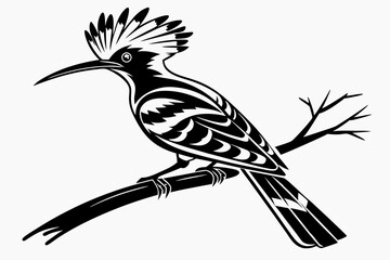 hoopoe sihouette black vector