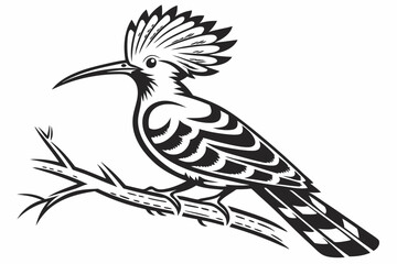 hoopoe sihouette black vector