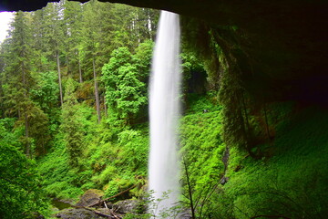 Silver Falls State Park