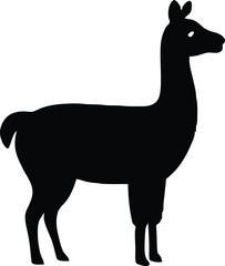 Simple and unobtrusive Llama vector silhouette, vector illustration of a silhouette of a  Llama design