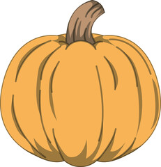 リアルな影付きかぼちゃのベクターイラスト