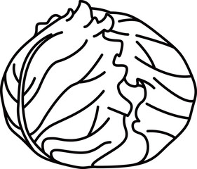 シンプルですっきりしたキャベツの線画