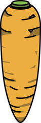 色付きの丸ごとにんじんのイラスト